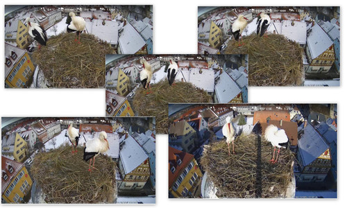 Bilder1.jpg