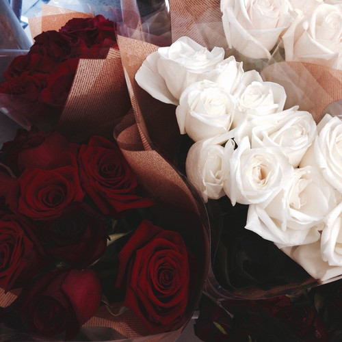 Roses.jpg