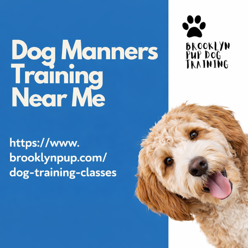 Dog Manners Training Near Me.png