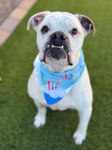 442409e4 0e9f 46be 98e6 b44648ab8fc3.jpg