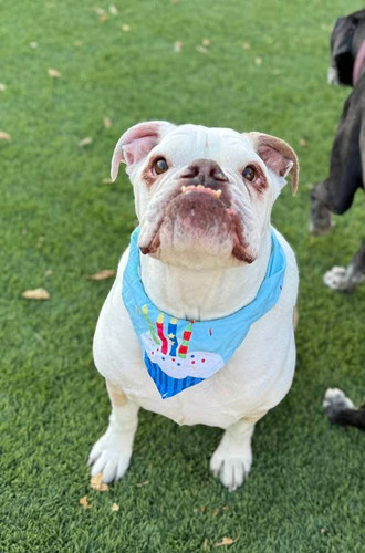 c58ba40e 8e62 494f 942a 909522c9b869.jpg