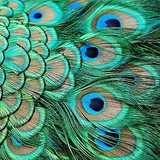 3173c53adfdd26913b6c1b935377b71b