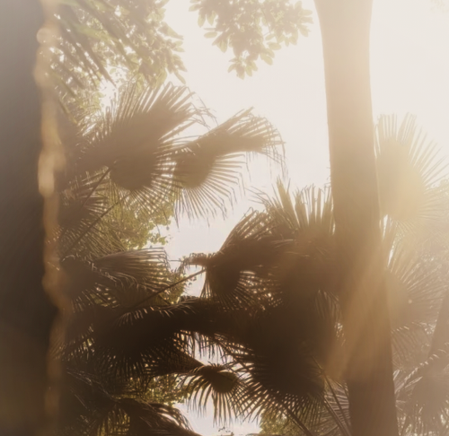 IMG 20251230 215111.png