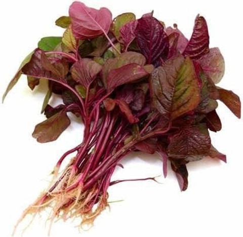240 red cholai red saag hybrid v.jpg