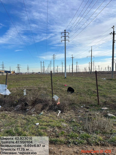 photo 16 2025 12 31 18 28 44.jpg