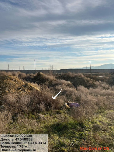 photo 15 2025 12 31 18 28 44.jpg