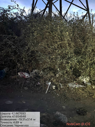 photo 3 2025 12 31 18 20 47.jpg