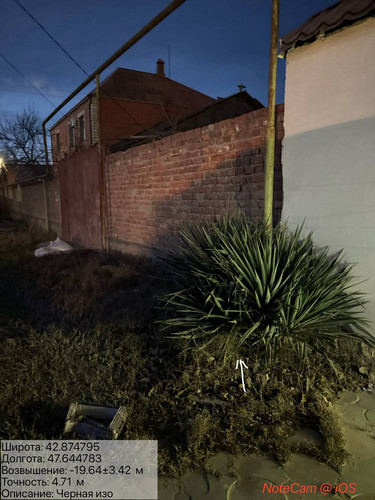 photo 2 2025 12 31 18 20 47.jpg