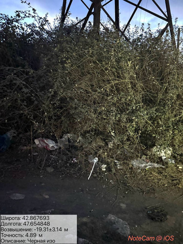 photo 3 2025 12 31 18 20 47.jpg