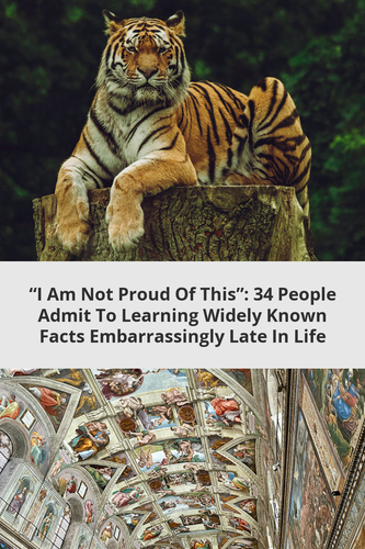 ce2adee5 4426 4f0d 96f3 57b05d04915b.png