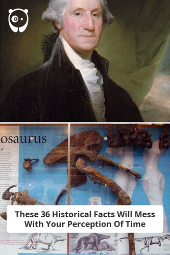 1fc06d23 33da 4a15 ae88 c5615780dd31.png