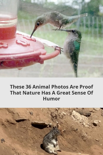 b56ecb21 8e3a 4c59 aaac f7bc71e0ff54.png