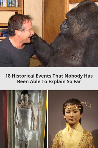 81f34ce3 26d9 4c41 9262 e052158543e3.png