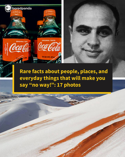 10c73ee7 d570 49b7 9c8a 0fe9c9715713.jpg