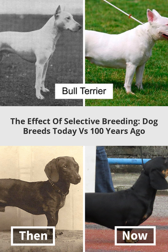 72107e97 e3c4 4b56 88fb 9b7e3b1b3685.png