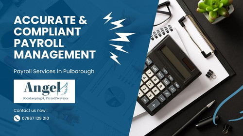 Payroll Services in Pulborough Accurate & Compliant Payroll Management.jpg