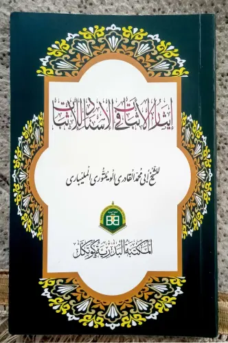 11.webp