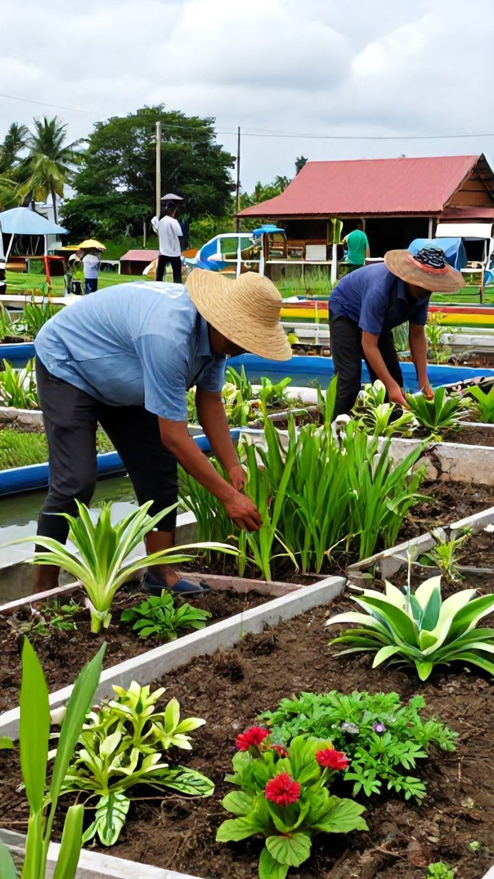 Basilan LGU unveils floating gardens