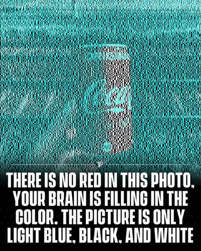 [Image: fXasYfn.md.jpg]