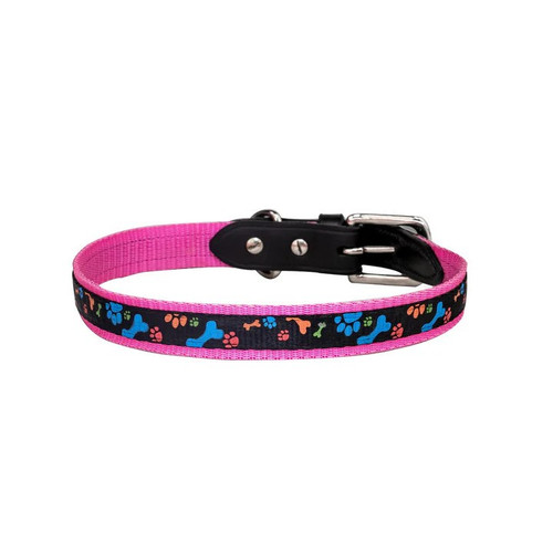 Vibrant Printed Nylon Collars – Fun Patterns for Your Pup.jpg