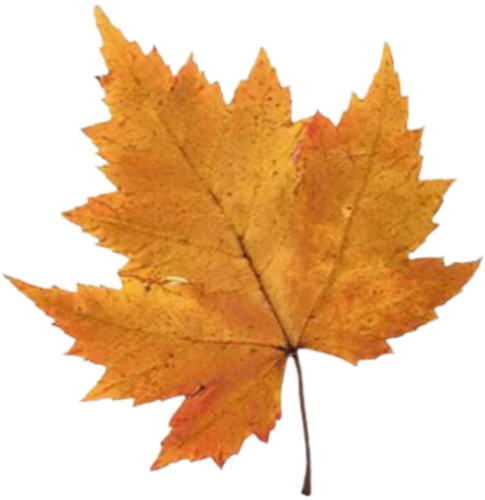 retouch 2025123022105108.png