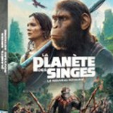 imgPLANETESINGEROYAUME