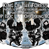 king of the forest