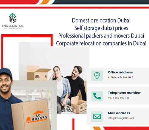 Professional packers and movers Dubai.jpg
