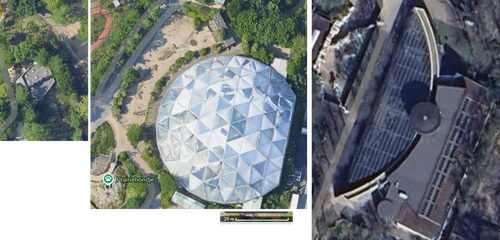 primate size comparison