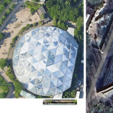 primate size comparison