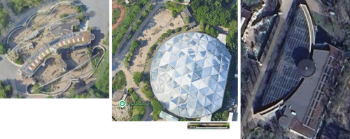 Primate comparison.png