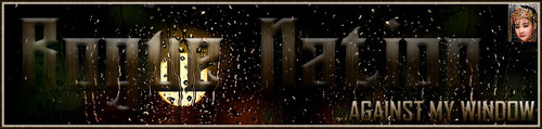 RainWin Banner.jpg