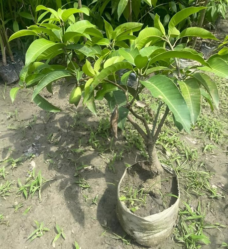 613j0i8qPiL.jpg