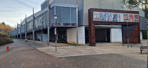 CINEPALACE EPINAL3.jpg