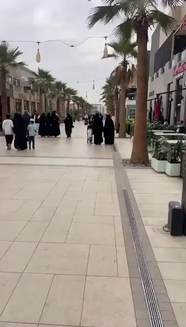 HhfaR56rvfRQsdTJ.jpg