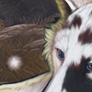icon.png