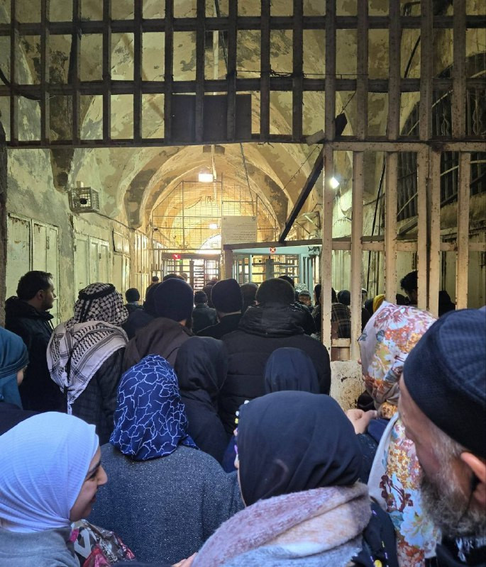 وزارة الأوقاف والشؤون الدينية:

- نستنكر إغلاق قوات الاحتلال بوابات الحرم الإبراهيمي الشريف بشكل متكرر، وأكثر من مرة يوميًا، أمام المصلين، في وقت يقوم...