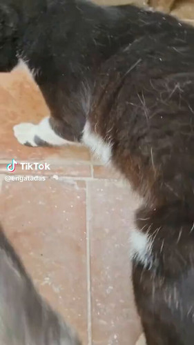 cTEjgUU2BtjMqlL6.jpg