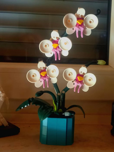 597381040 10234599617584493 1716844817790818843 n.jpg