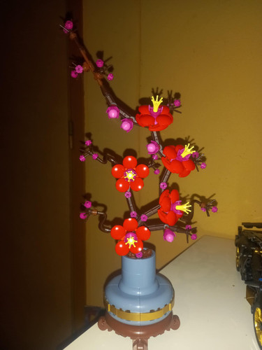 1105a2ca 67cf 4c47 8706 d45a5d2c9245.jpg