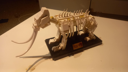 c08c0381 39be 4fed 9f8f 654a17e2f81e.jpg