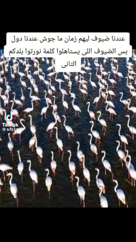 UDZNLhhdWlewtpqw.jpg