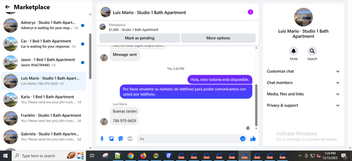Luis Mario.png