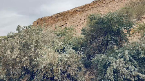 p859R7ahL0qDUvDu.jpg
