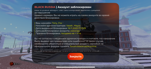 IMG 5789.png