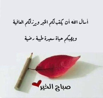G8HsoMLW0AIQAq9.jpg