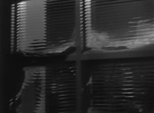 frame1.jpg