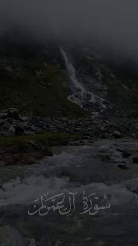 v1mTnk673b 0vzft.1