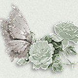 wingsbutton