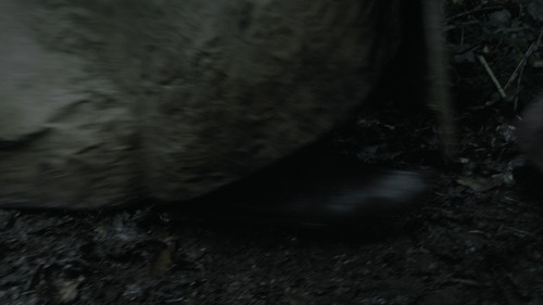 frame0.jpg